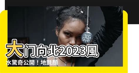 2023年大門地氈顏色|【龍震天】2023年兔年風水佈局、大門地氈顏色、特。